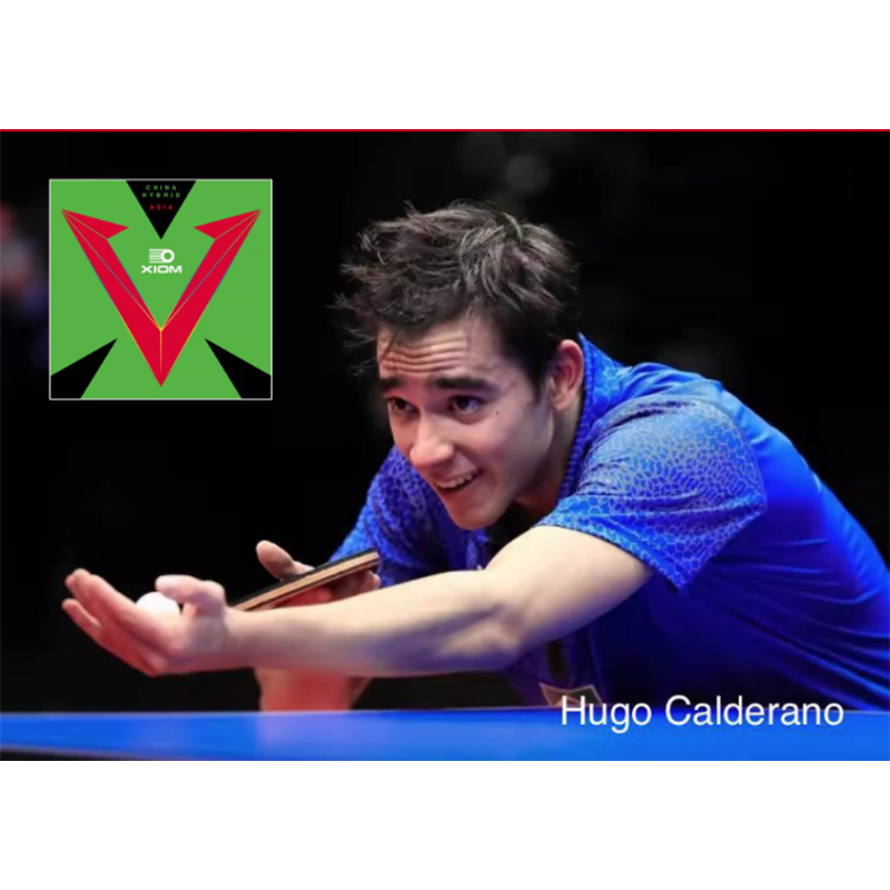 XIOM VEGA ASIA HYBRID 79-079 T - огляд і ціна Table Tennis Hybrid Rubbers